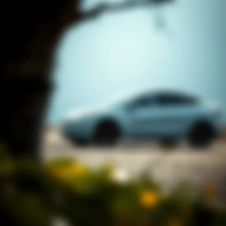 Magnificent Exploring the Cheapest Tesla on the Market
