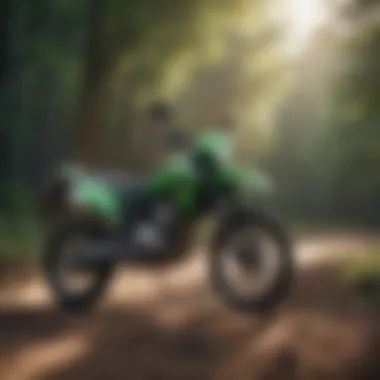 Magnificent In-Depth Analysis of the 2022 Kawasaki KLX 140