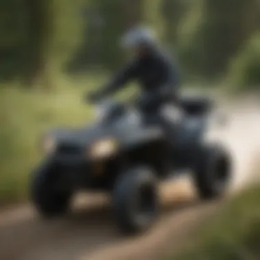 Notable An In-Depth Analysis of the 99 Polaris Sportsman 335 Notable An In-Depth Analysis of the 99 Polaris Sportsman 335