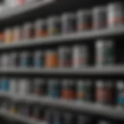 High-quality automotive primer options displayed on a shelf